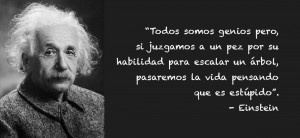 frase-einstein--tdah-Contigo